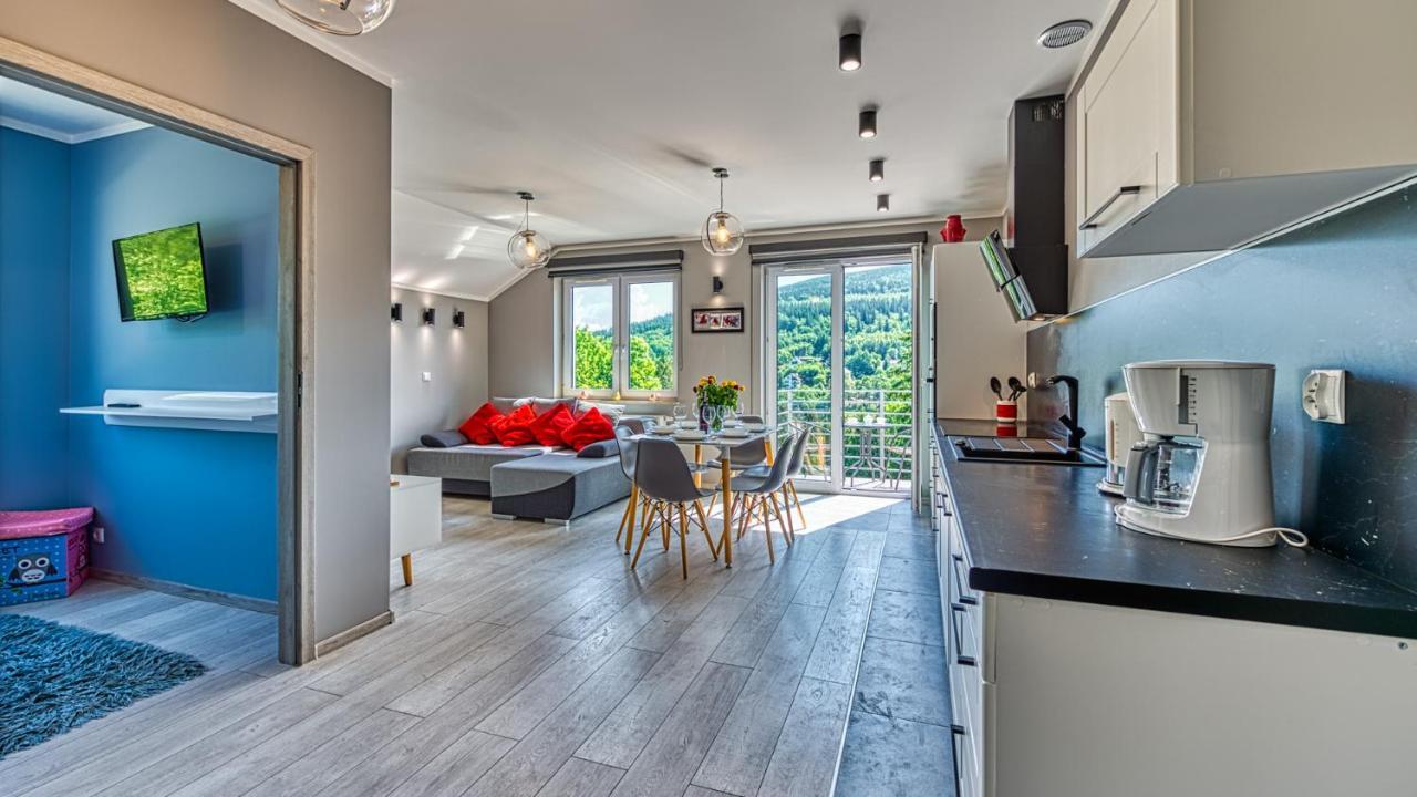 Apartment Szary Kamien W Swieradowie Zdroj - 5d Swieradow-Zdroj