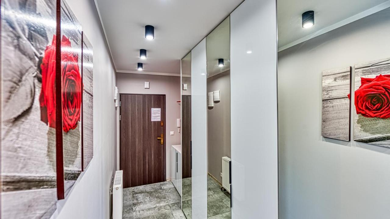Apartment Szary Kamien W Swieradowie Zdroj - 5d Swieradow-Zdroj